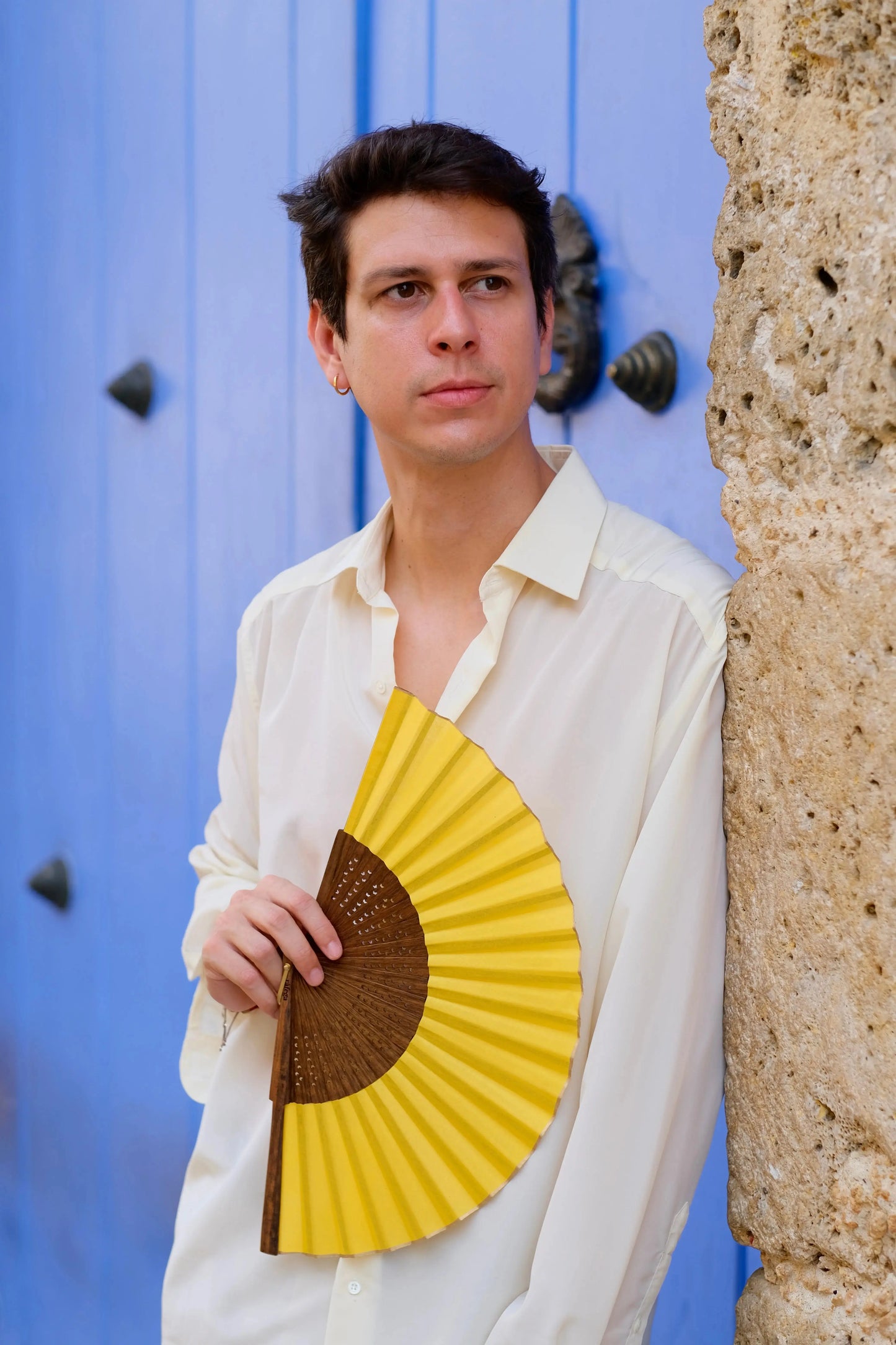 Abanico Mariposa ràfega  